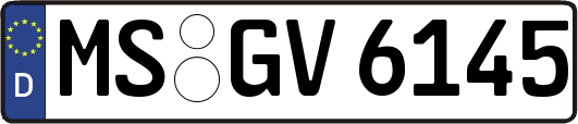 MS-GV6145