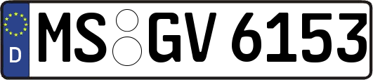 MS-GV6153