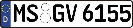 MS-GV6155