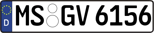 MS-GV6156