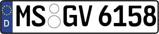 MS-GV6158