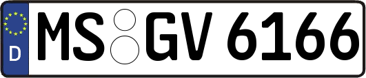 MS-GV6166