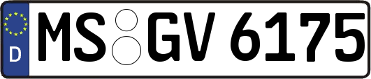 MS-GV6175