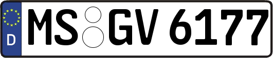 MS-GV6177