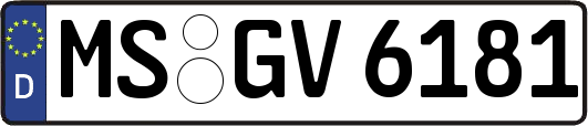 MS-GV6181