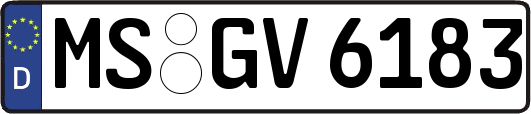MS-GV6183