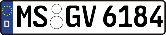 MS-GV6184