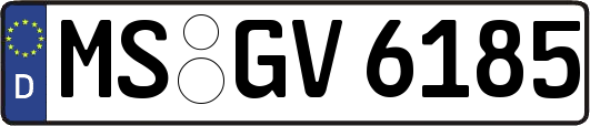 MS-GV6185