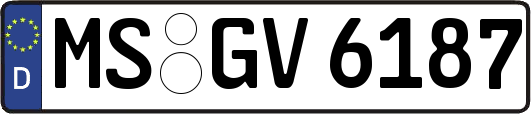 MS-GV6187