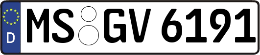 MS-GV6191