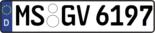 MS-GV6197
