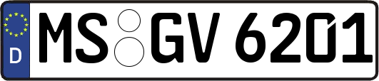 MS-GV6201