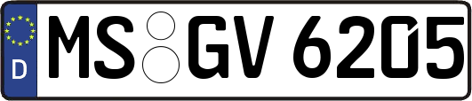MS-GV6205
