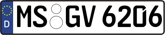 MS-GV6206