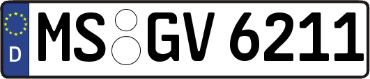 MS-GV6211