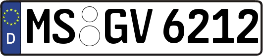 MS-GV6212