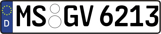 MS-GV6213