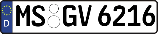 MS-GV6216