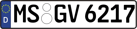 MS-GV6217