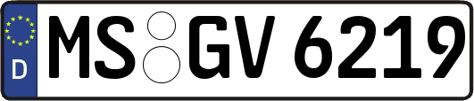 MS-GV6219