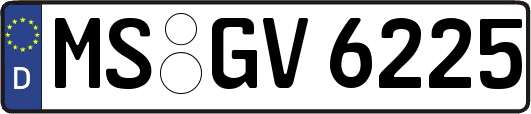 MS-GV6225