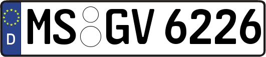 MS-GV6226