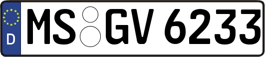 MS-GV6233