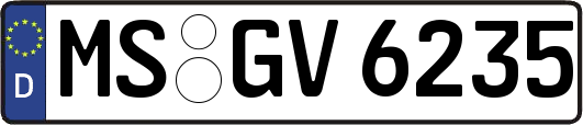 MS-GV6235
