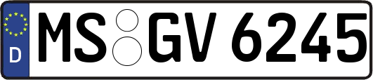 MS-GV6245