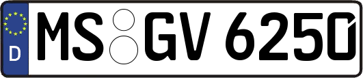 MS-GV6250