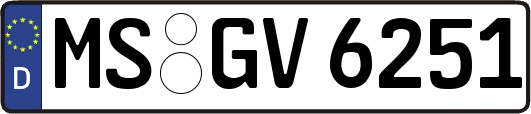 MS-GV6251