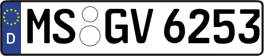 MS-GV6253