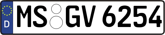 MS-GV6254