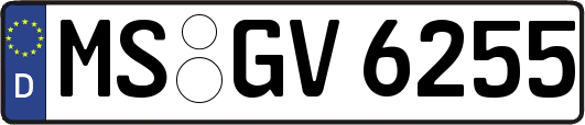 MS-GV6255