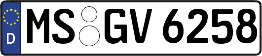 MS-GV6258