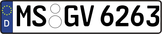 MS-GV6263