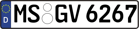 MS-GV6267