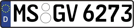 MS-GV6273