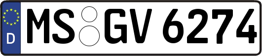 MS-GV6274