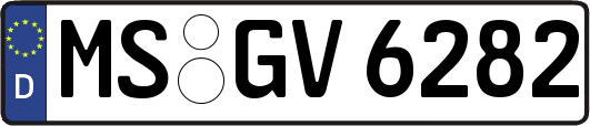 MS-GV6282