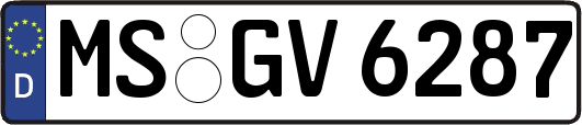 MS-GV6287