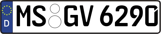 MS-GV6290