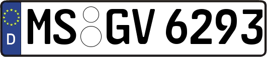 MS-GV6293