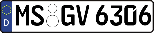 MS-GV6306