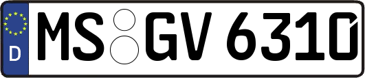 MS-GV6310