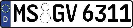 MS-GV6311