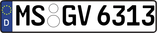 MS-GV6313