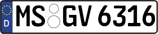 MS-GV6316
