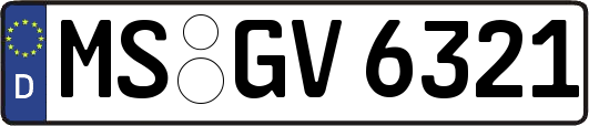 MS-GV6321
