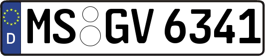 MS-GV6341